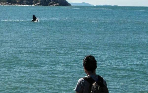 AMO GAROPABA (4)