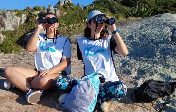 Projeto Cetáceos (3)