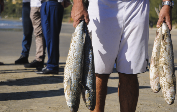 fotos calendario turistico (92)