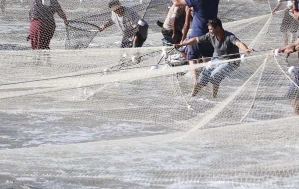 fotos calendario turistico (94)